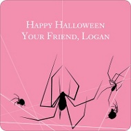 Spinning Spider Web 
