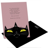 Sly Black Cat 