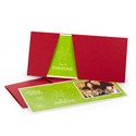 Snow Falling Photo Holiday Card -- Grass & Cranberry