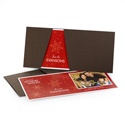 Snow Falling Photo Holiday Card -- Cranberry & Mocha