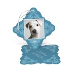 Stylish Winter Delight -- Ornament Photo Cards