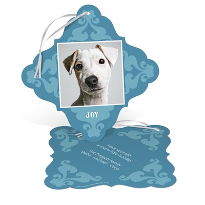 Stylish Winter Delight - Dog Christmas Cards