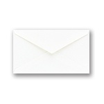 Profile Card Envelope