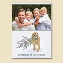 Bear's Christmas Tree Foldover Photo Card