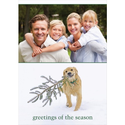 Bear's Christmas Tree Foldover Photo Card