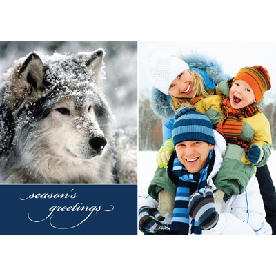 Winter's Treasure Foldover Photo Card