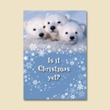 Christmas Cubs Card