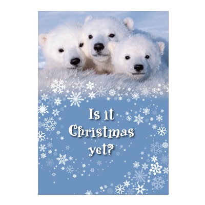 Christmas Cubs Card