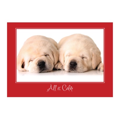 Sleepy Pups Card