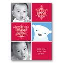 Polar Pal - Bear Two-Photo Panel Card