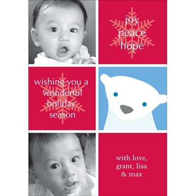 Polar Pal - Bear Two-Photo Panel Card