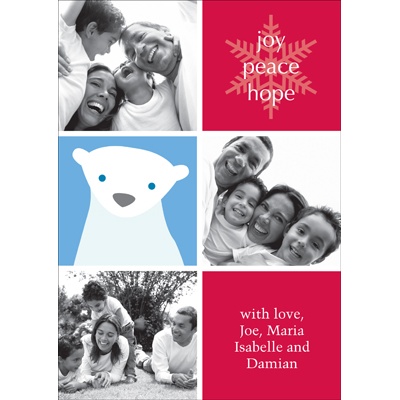 Polar Pal - Bear Three-Photo Panel Card