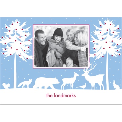 Winter's Wonders Photo Note Card