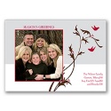 Birds and Berries Photo Panel Card