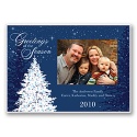 Holiday Sparkles Photo Panel Card