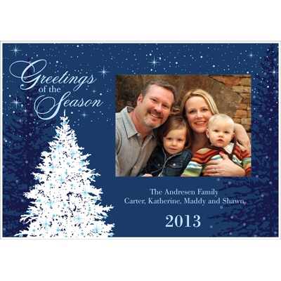 Holiday Sparkles Photo Panel Card