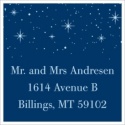 Holiday Sparkles Address Label Sheet