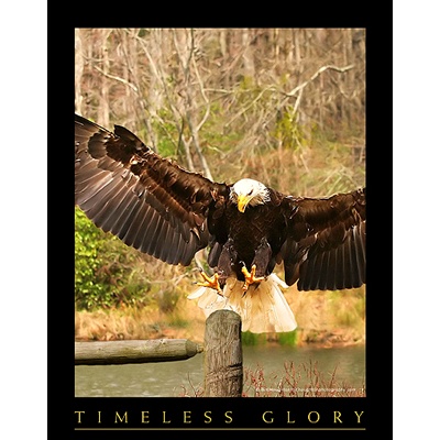 NWF Posters