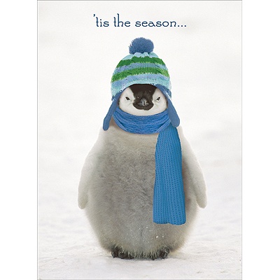 Chilly Penguin Card