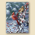 Crimson in Winter Card