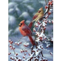 Crimson in Winter Card