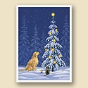Wishing on a Star Card