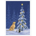 Wishing on a Star Card