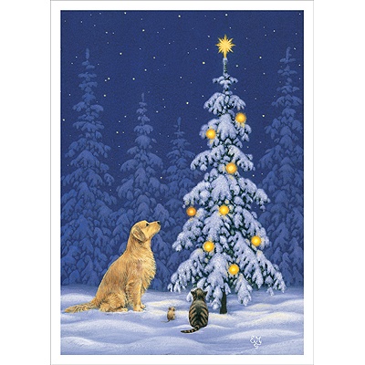 Wishing on a Star Card