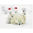 Playful Polar Bears Card