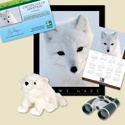 Adopt an Arctic Fox - $100