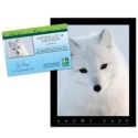 Adopt an Arctic Fox - $20