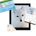 Adopt an Arctic Fox - $50