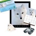 Adopt an Arctic Fox