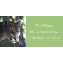 NWF Address Labels