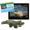 Adopt an Alligator