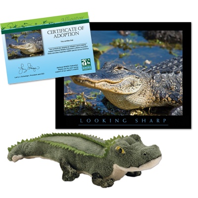 Adopt an Alligator - $30