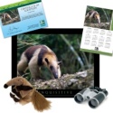 Adopt an Anteater