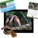 Adopt an Anteater