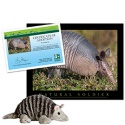 Adopt an Armadillo