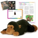 Adopt a Baby Chimpanzee