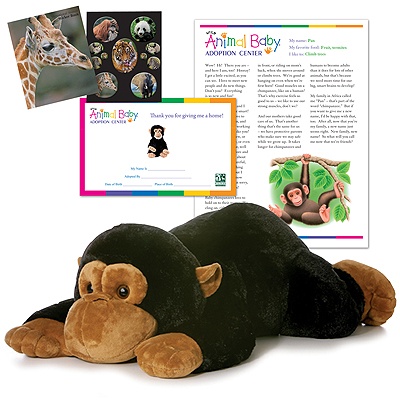 Adopt a Baby Chimpanzee - $100