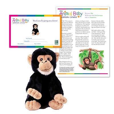 Adopt a Baby Chimpanzee - $30