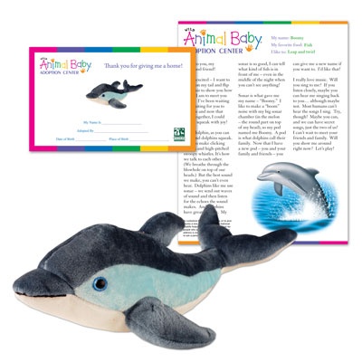 Adopt a Baby Dolphin - $30