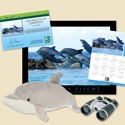 Adopt a Bottlenose Dolphin - $100