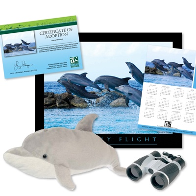 Adopt a Bottlenose Dolphin - $100