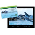 Adopt a Bottlenose Dolphin - $20