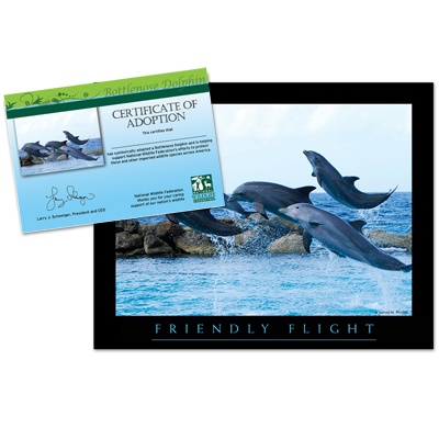Adopt a Bottlenose Dolphin - $20
