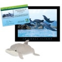 Adopt a Bottlenose Dolphin - $30