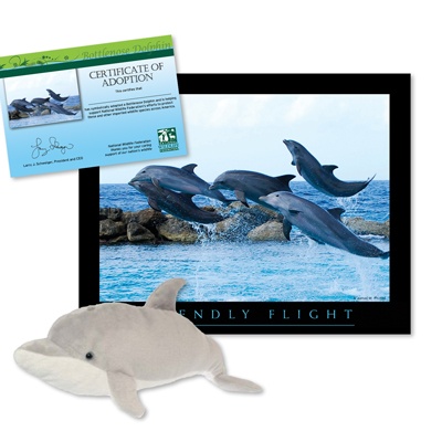 Adopt a Bottlenose Dolphin - $30