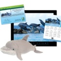 Adopt a Bottlenose Dolphin - $50